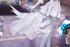 『リーグ・オブ・レジェンド:ワイルドリフト』Gift+ 1/8 水晶の薔薇 ラックス